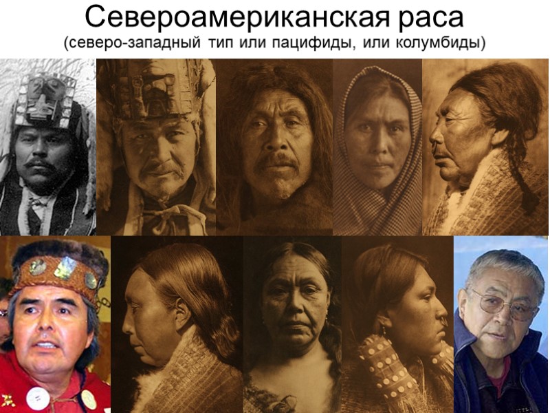 Североамериканская раса (северо-западный тип или пацифиды, или колумбиды)